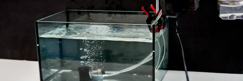 tabletop bubble rig for food and beverage video
